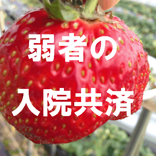 医療保険・入院共済